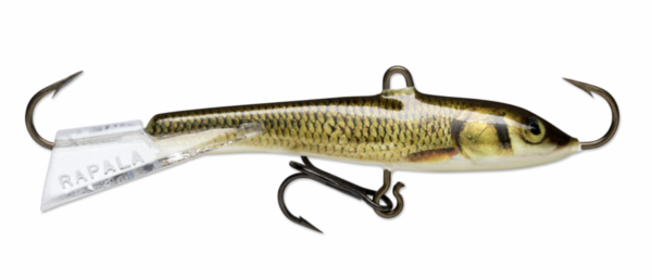 Golden shiner live gsl 600x258