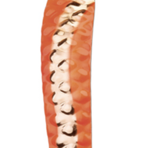 Hammered fl orange gold 1 300x300