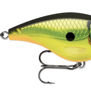 Homer s buddy 300x300