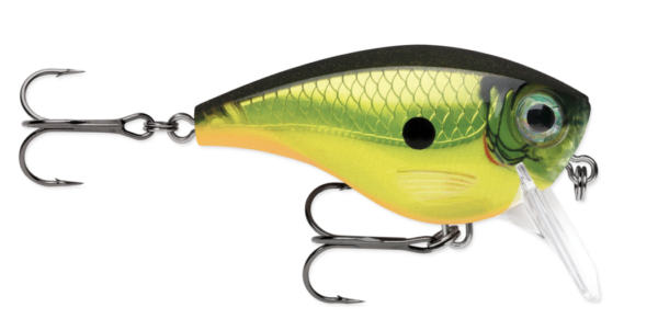 Homer s buddy 600x301