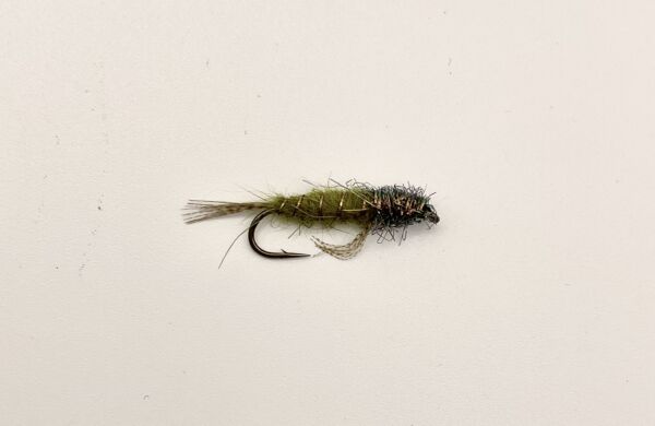 Img 0113 600x390