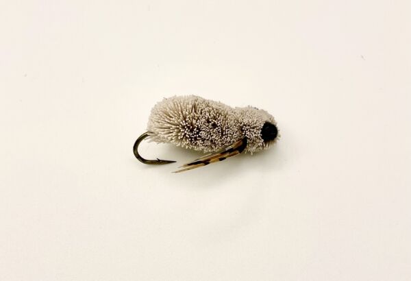 Img 0118 600x410