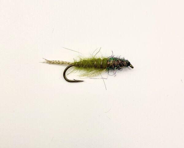 Img 0119 600x481