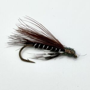 Img 0194 300x300