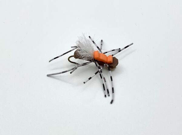 Img 0197 600x444
