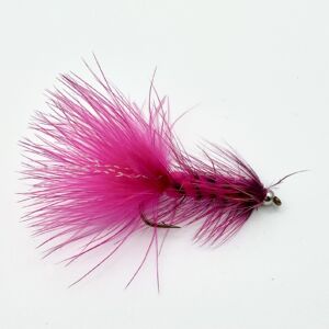 Img 0198 300x300