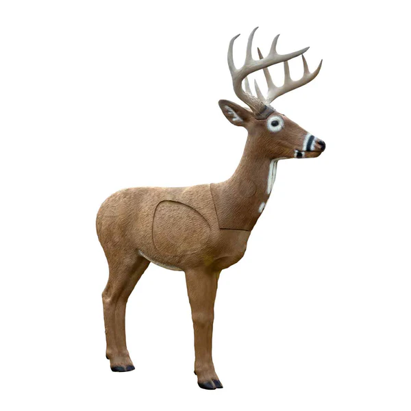 Jimmy big tine