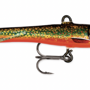 Live brook trout bkl 4 300x300