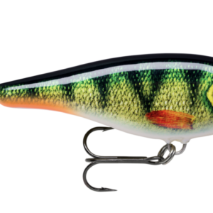 Live perch 300x300