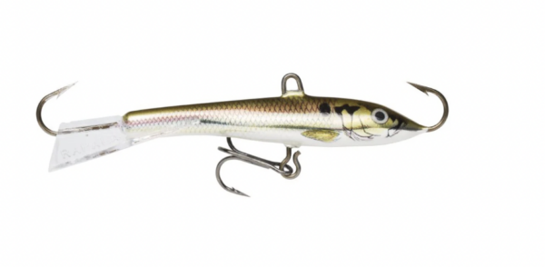 Live shad shl 600x294