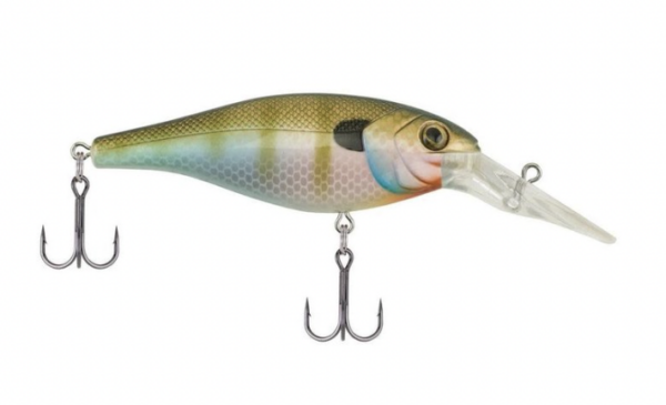 Natural bluegill 600x365