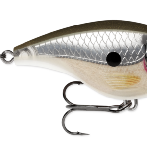 Pearl grey shiner 300x300
