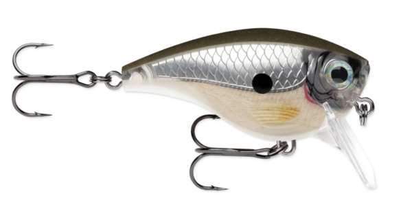 Pearl grey shiner 600x301