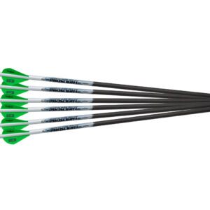 Proflight arrows large 2 300x300