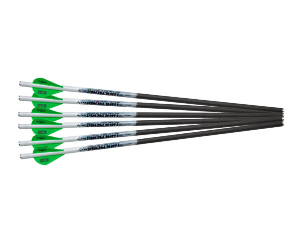 Proflight arrows large 2 600x479