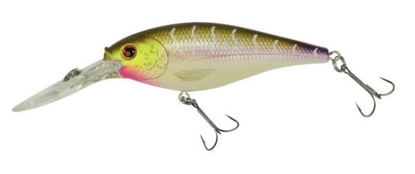 Purple tiger 600x252