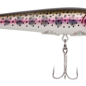 Rainbow trout 1 300x300