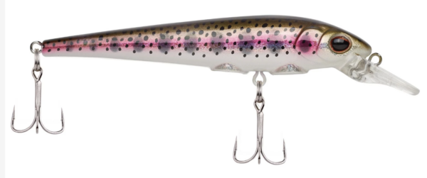 Rainbow trout 1 600x251