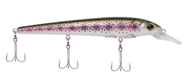Rainbow trout 600x259