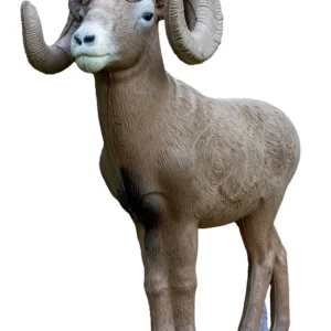 Rinehart 1 2 bighorn ram 300x300