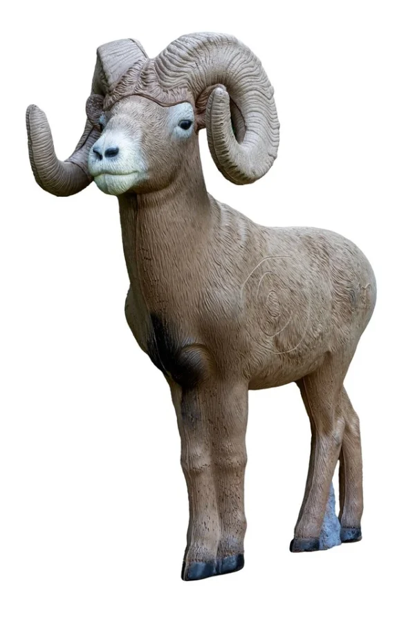 Rinehart 1 2 bighorn ram 600x900