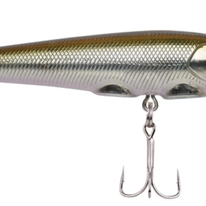 Sand shiner 1 300x300
