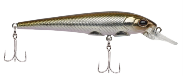 Sand shiner 1 600x251