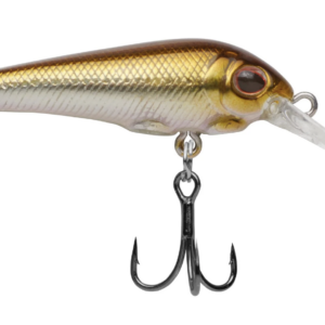 Sand shiner 300x300