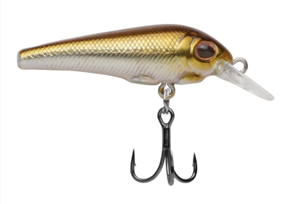 Sand shiner 600x406