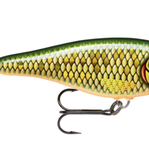 Scaled roach 300x300