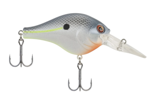 Sexier shad 1 600x397