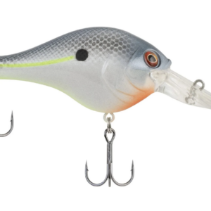 Sexier shad 2 300x300