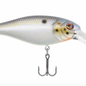 Sexier shad 3 300x300