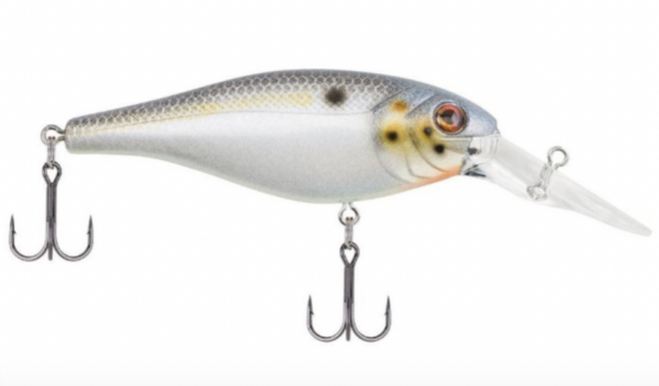 Sexier shad 3 600x352