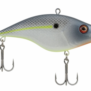 Sexier shad 5 300x300