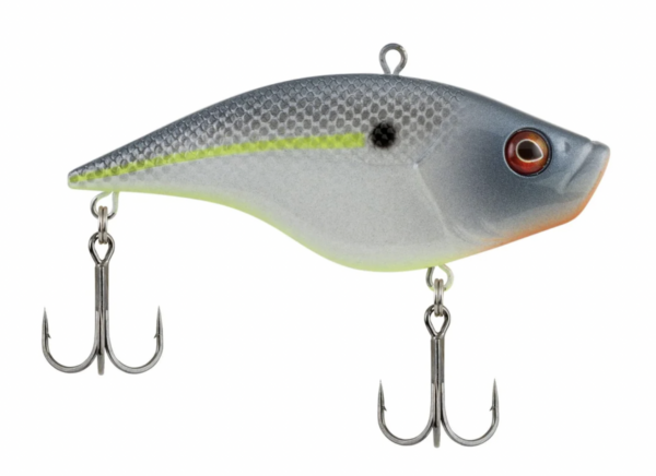 Sexier shad 5 600x436