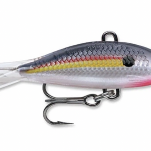 Shad sd shad 300x300