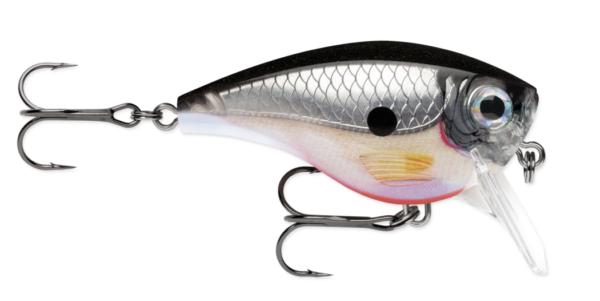 Silver 600x301