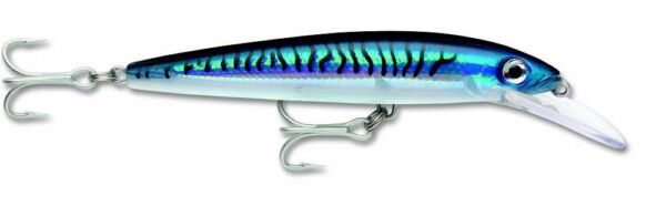 Silver blue mackerel e43c6e0f e7b4 4083 bec5 8719d66f0d80 600x186