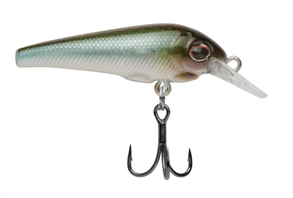 Stealth minnow 600x406