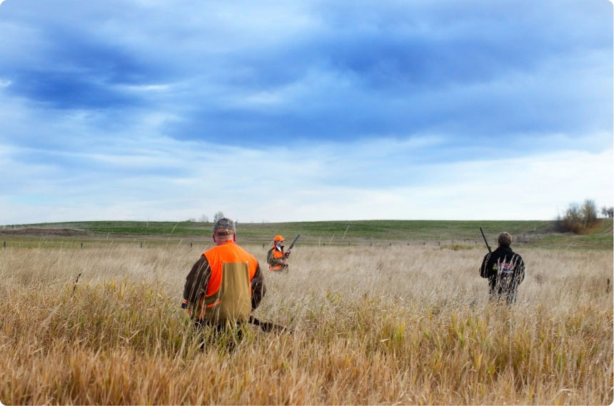Stettlar pheasant festival
