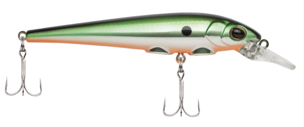 Tennesee shad 600x251