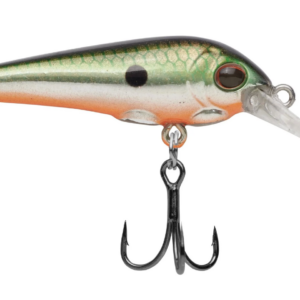 Tennessee shad 1 300x300