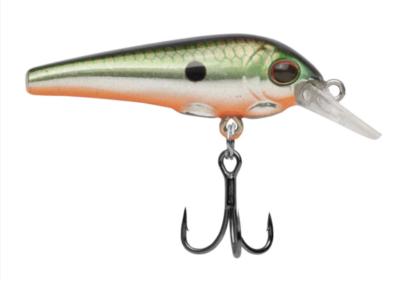 Tennessee shad 1 600x406