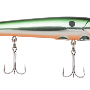 Tennessee shad 300x300