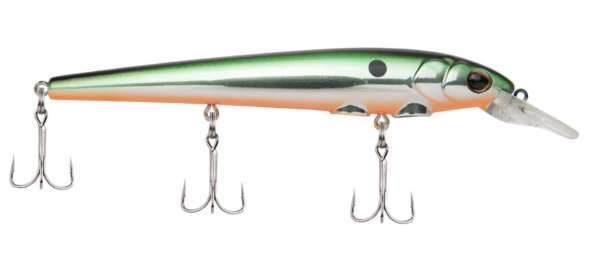 Tennessee shad 600x259