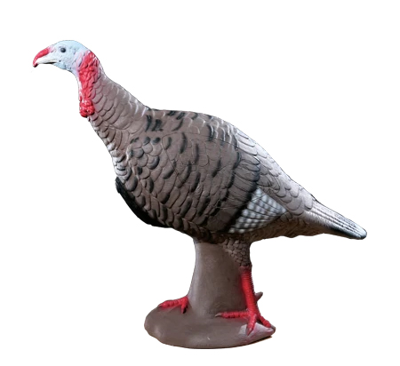Tom turkey copy