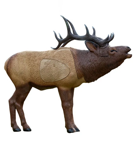Woodland elk 12235