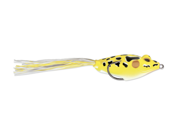 Yellow leopard 1 600x443