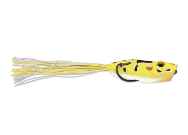 Yellow leopard 600x430